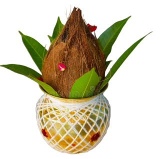 Sri Lakshmi Narayan Maha Yajna Kalasam