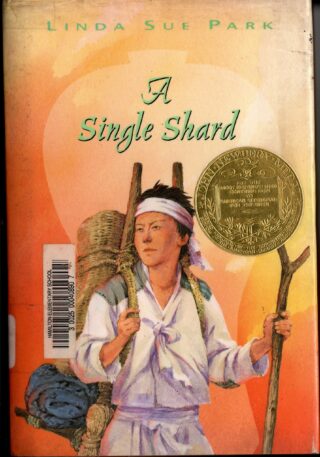 a single shard