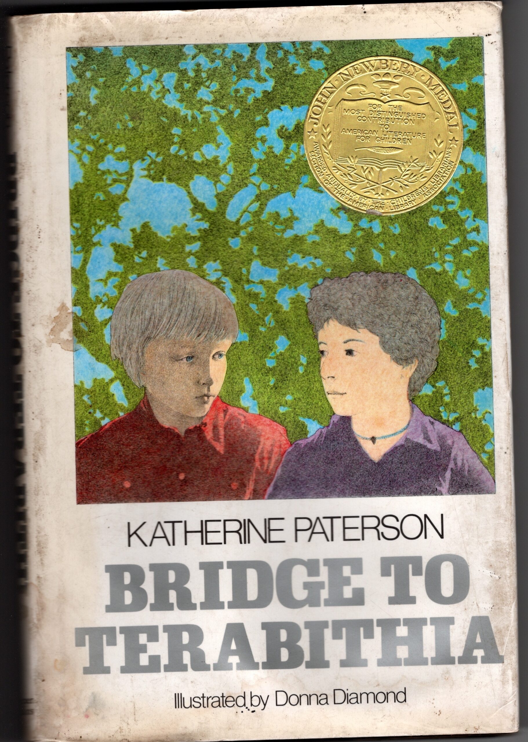 bridge to terabitha