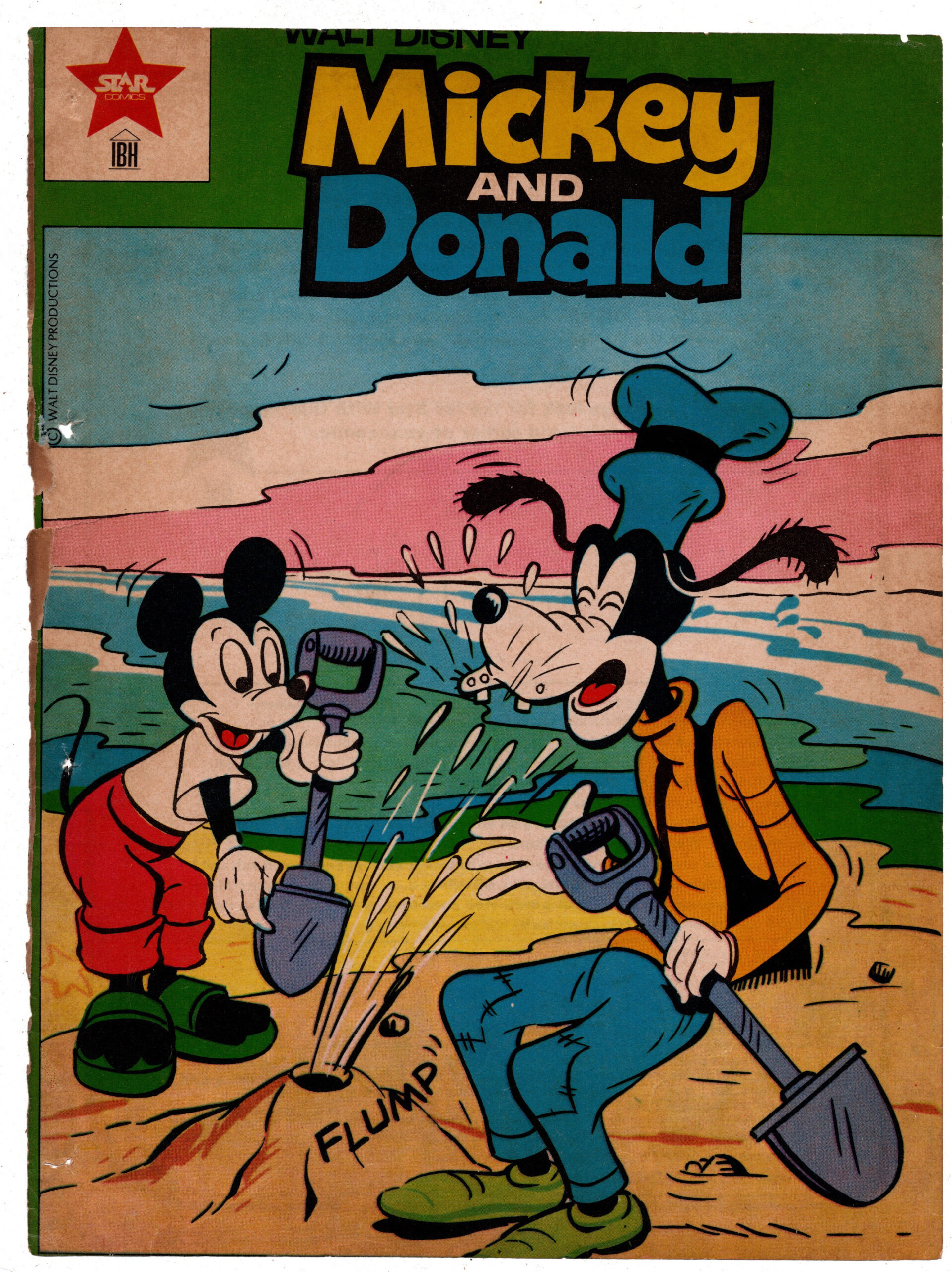 Star IBH Mickey & Donald