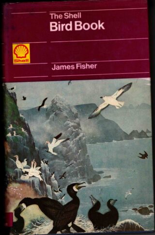 bird book - shell