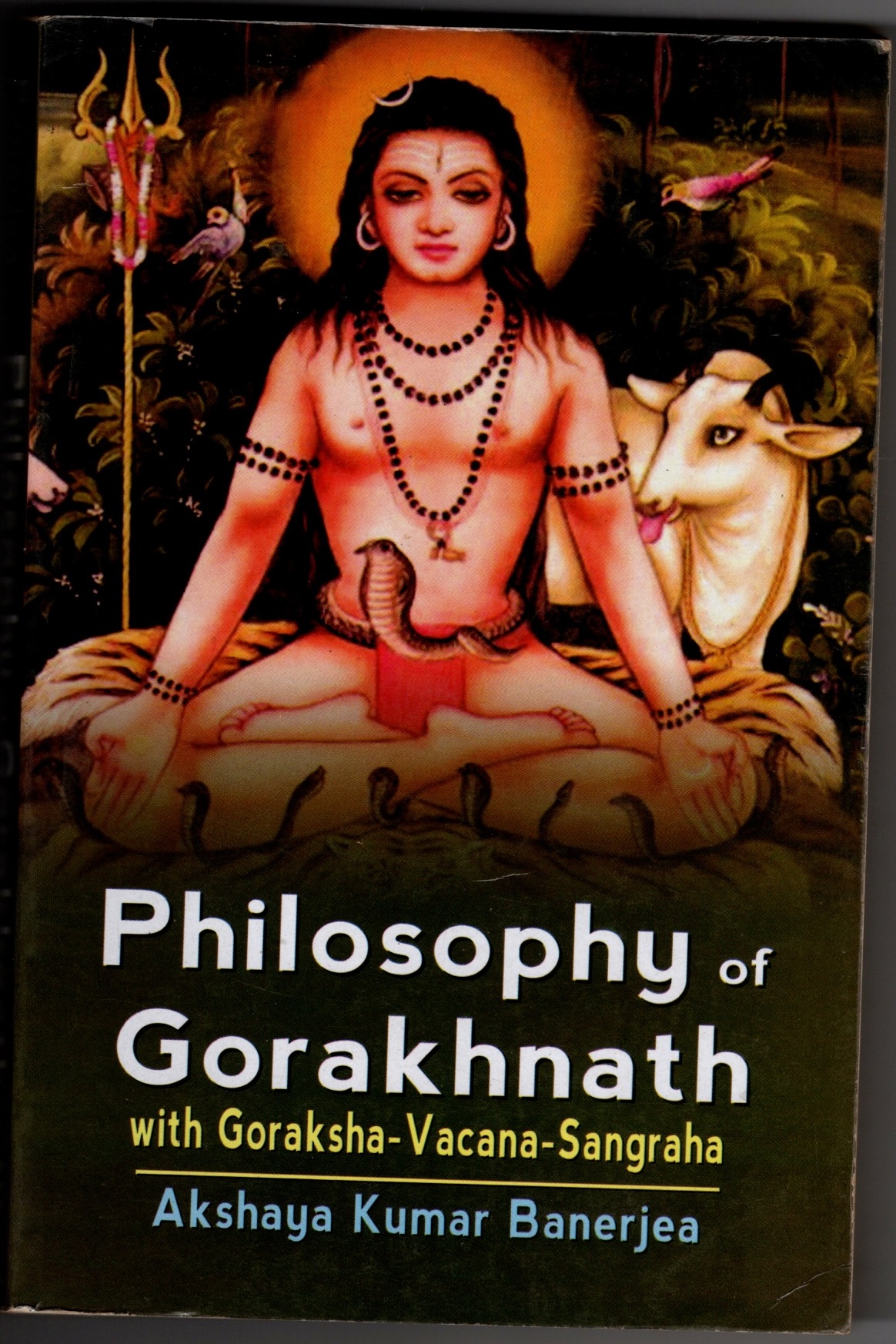 philosophy of goraknath