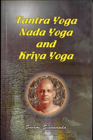 tantra yoga nada yoga and kriya yoga
