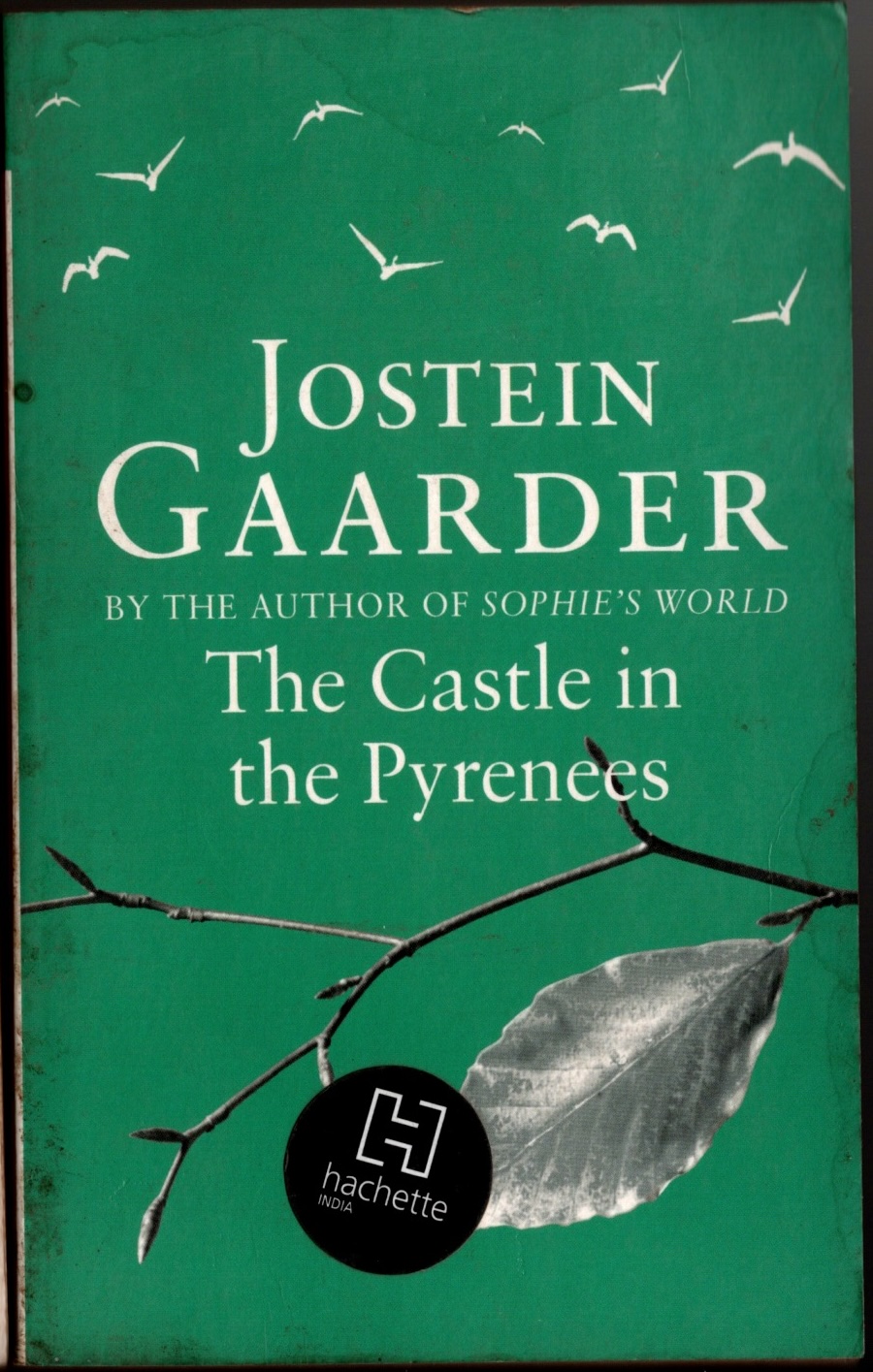 the castle in the pyreness