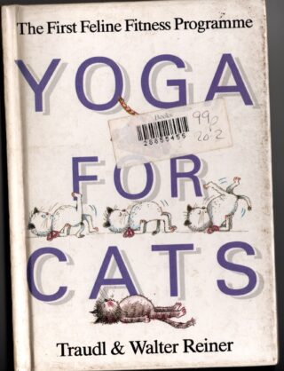 yoga for cats