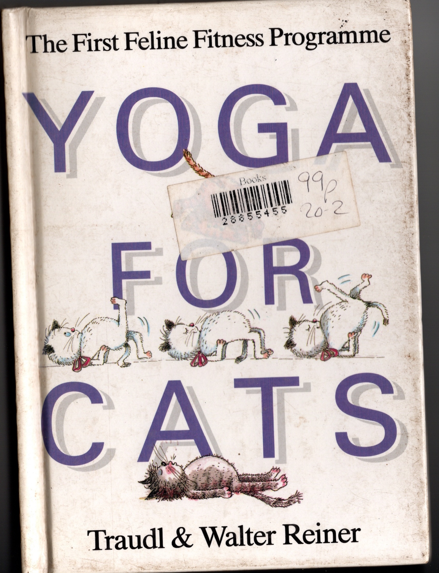 yoga for cats